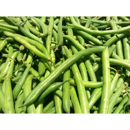 COMMODITY CANNED FRUIT & VEGETABLES Commodity Extra Standard 4 Sieve Green Beans #10 Can, PK6 9673201336